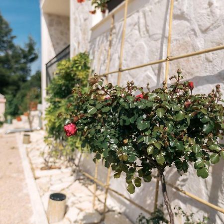 Hedon-Stone Apartment Starigrad Paklenica Exterior photo